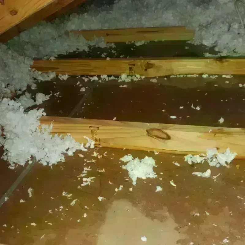 Attic Water Damage in Oregon, IL